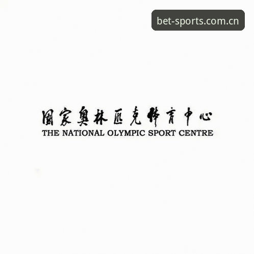 BSport体育必博下载通道最新版深度评测：安装包大小、版本稳定性和客服支持全解析